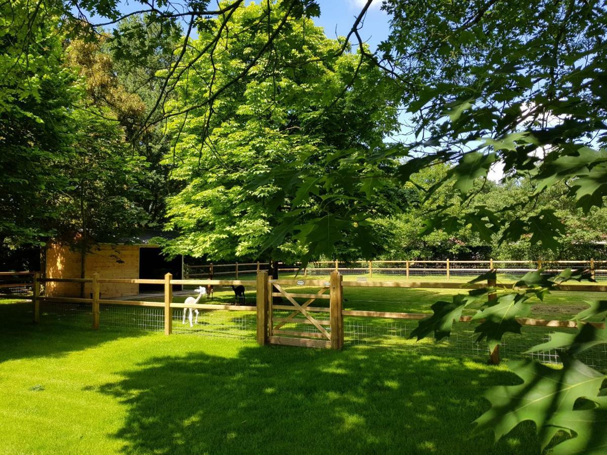 The Two Oaks - Private Garden For Guests Villa Hertsberge Eksteriør billede