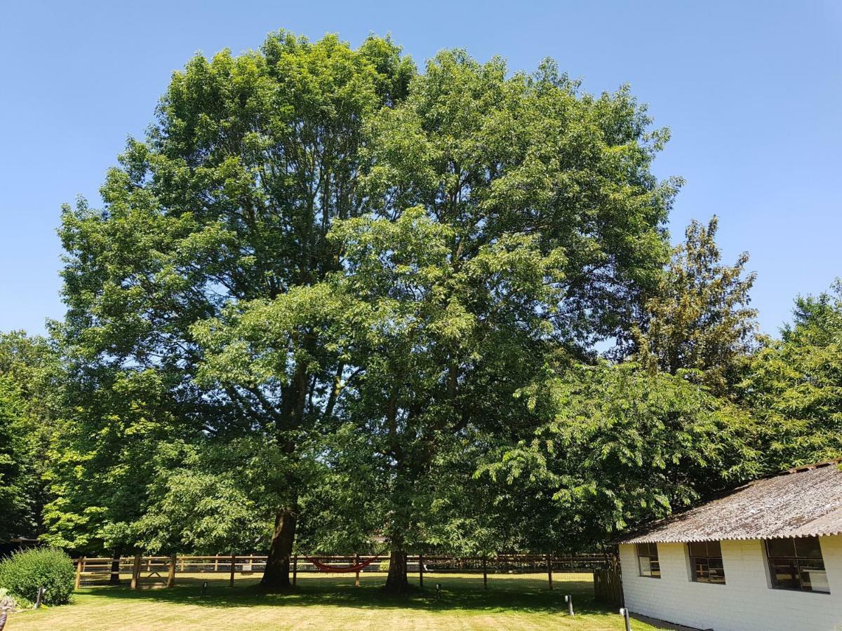 The Two Oaks Villa Hertsberge Eksteriør billede